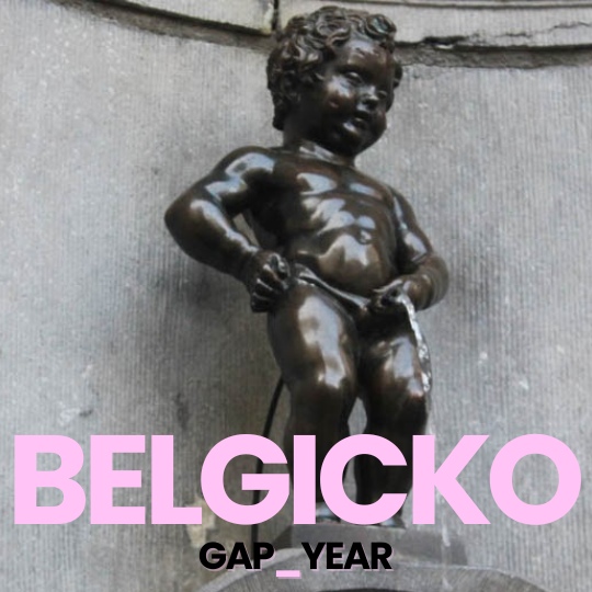 gapyear web thumb
