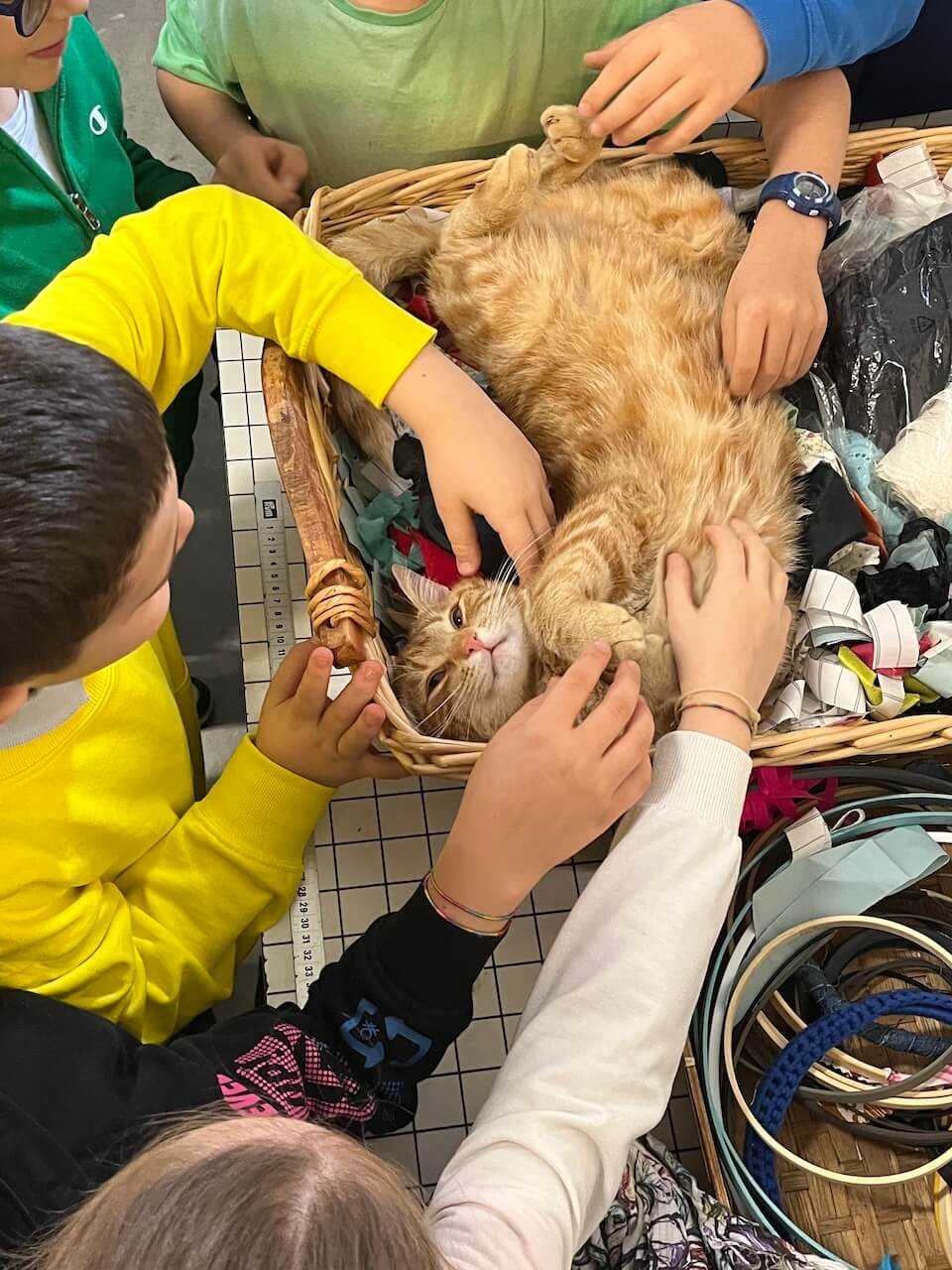 Maskotom Manitese bol kocúr Leo, ktorý si užíval pozornosť detí počas workshopov