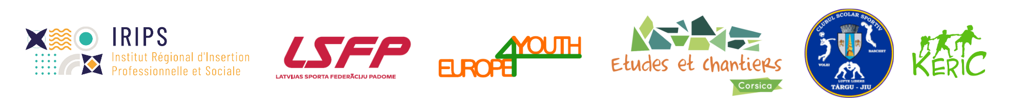 Not Just a Game project partner logos