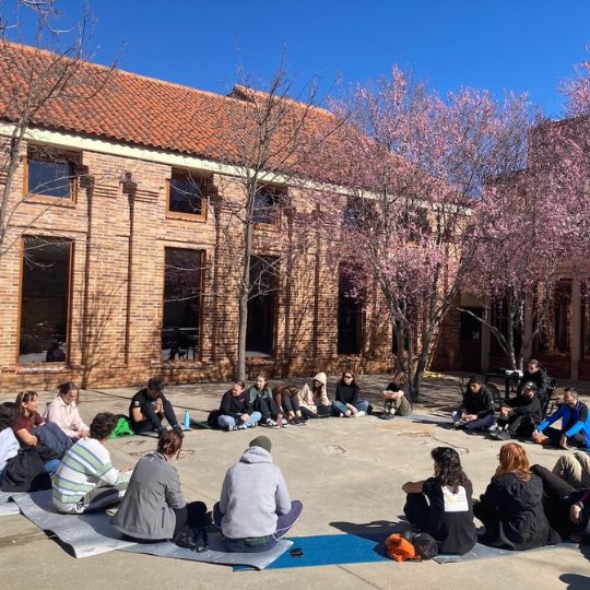 youth workers siting on the floor on a sunny day in the circle