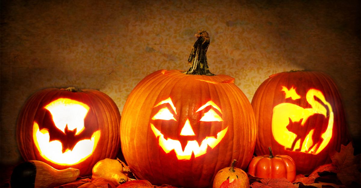 october newsletter