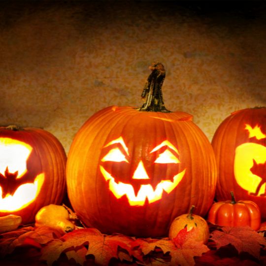 october newsletter web thumb