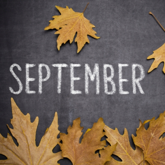 september newsletter thumb