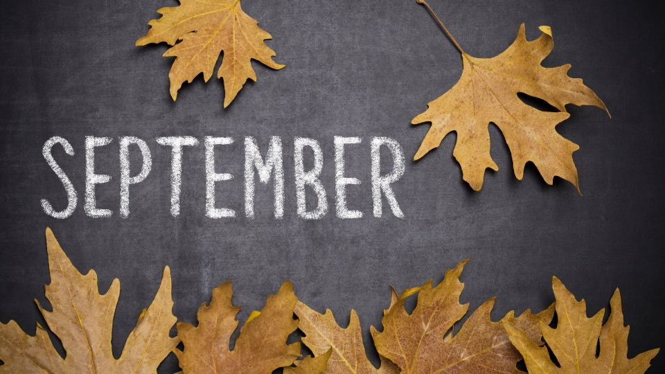 september newsletter top