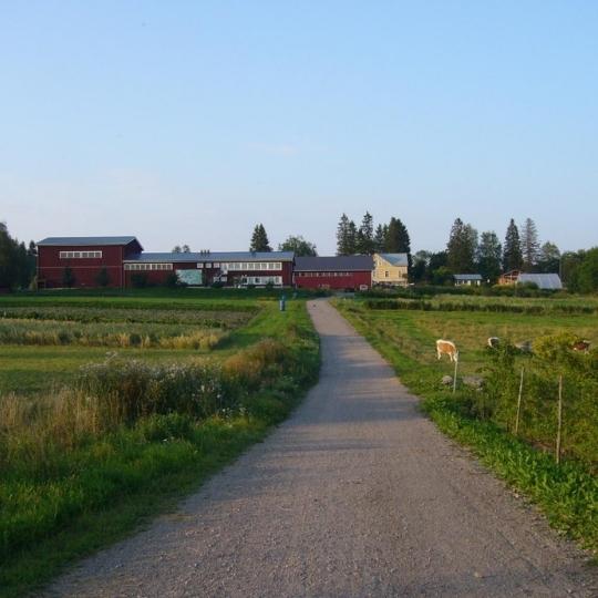 Cesta vedúca k poľnohospodárskym domom, po oboch stranách cesty pole.
