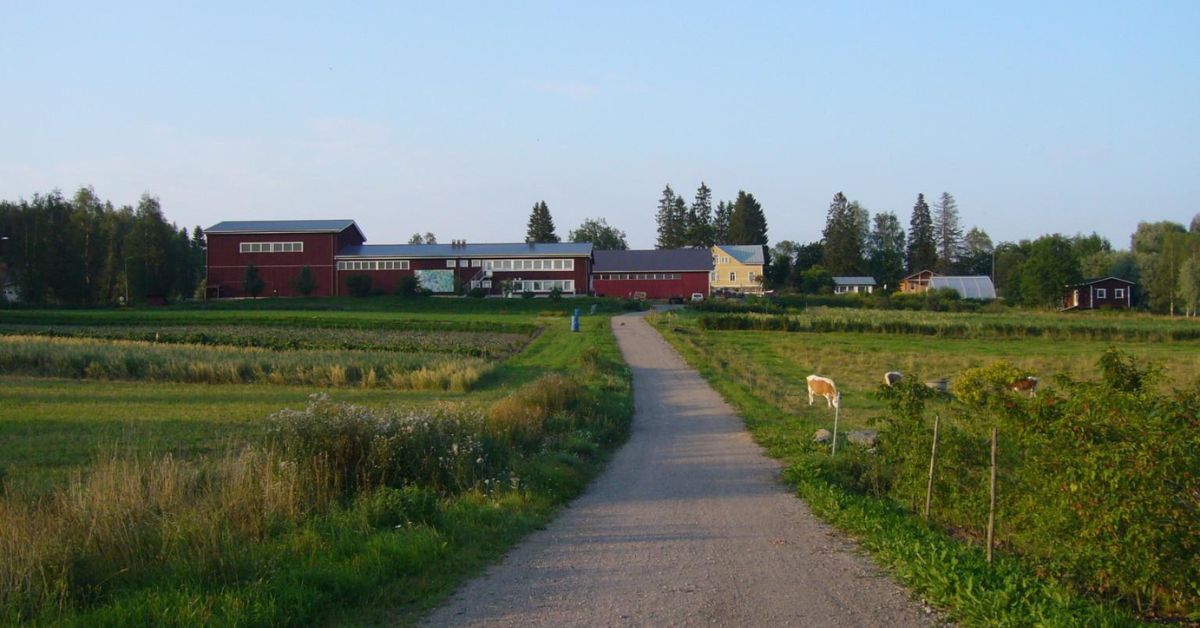 Cesta vedúca k poľnohospodárskym domom, po oboch stranách cesty pole.